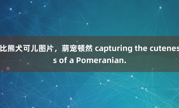 比熊犬可儿图片，萌宠顿然 capturing the cuteness of a Pomeranian.