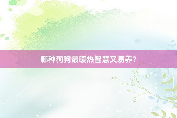 哪种狗狗最暖热智慧又易养?