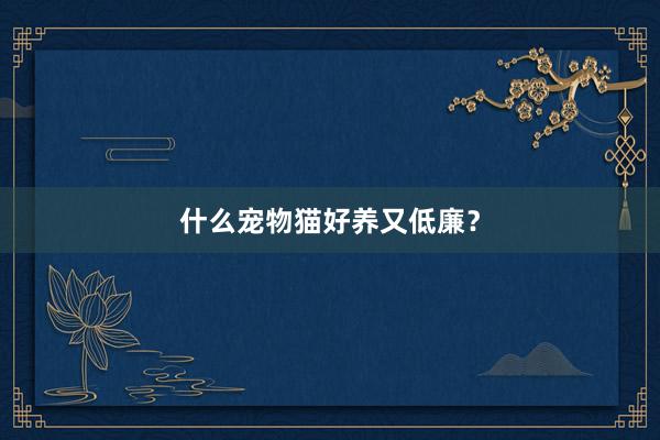 什么宠物猫好养又低廉？