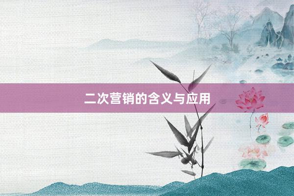 二次营销的含义与应用
